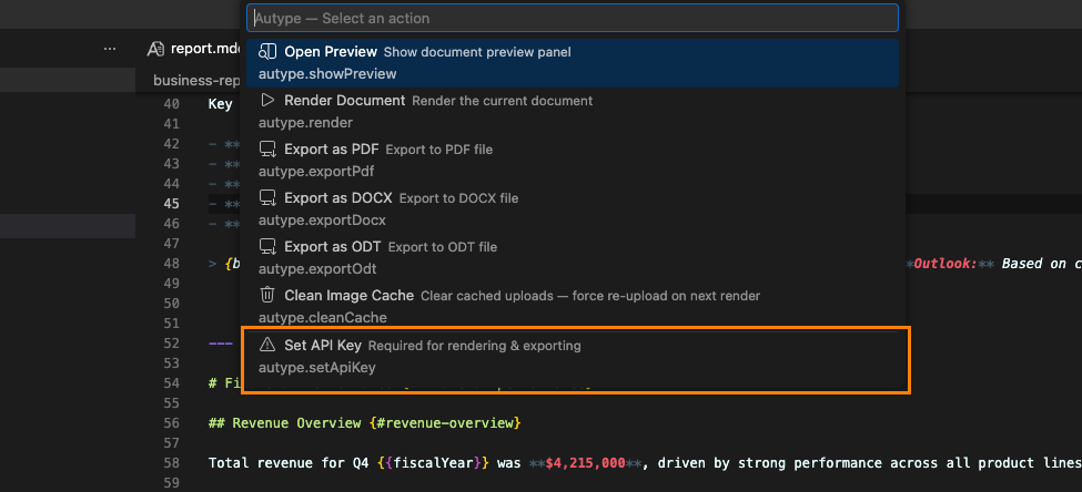 Autype quick-pick menu with all commands — "Set API Key" highlighted